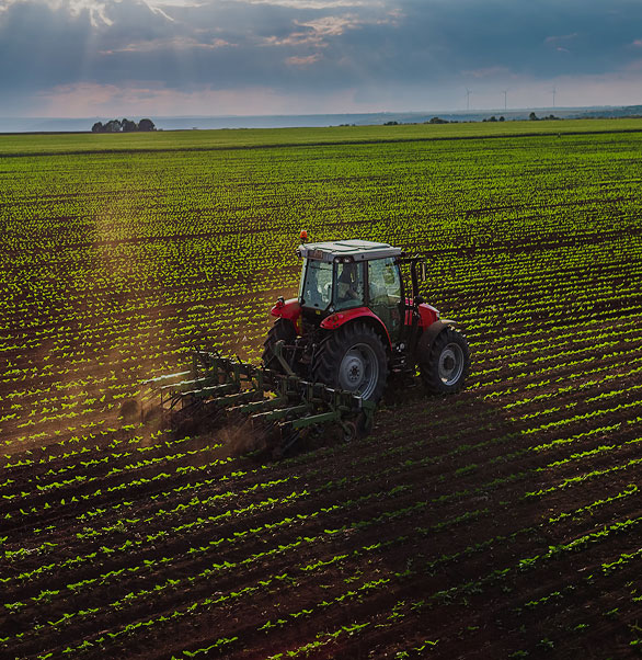 Tractor on a field