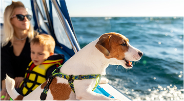 people on boat with dog